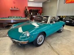 Alfa Romeo Spider “Osso di Seppia”