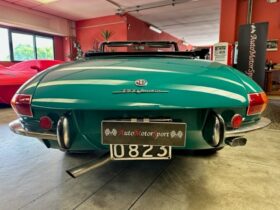 Alfa Romeo Spider “Osso di Seppia”