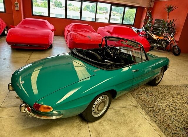 
								Alfa Romeo Spider “Osso di Seppia” completo									