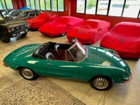 Alfa Romeo Spider “Osso di Seppia”