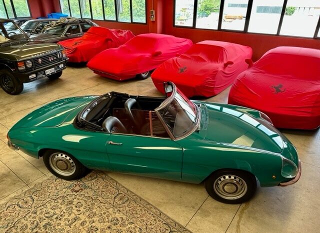 
								Alfa Romeo Spider “Osso di Seppia” completo									