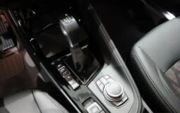 
										BMW X1 xDrive25e xLine Plus auto completo									