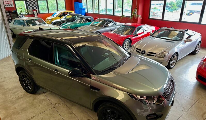 
								Land Rover Discovery Sport completo									